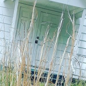 Meet your Posher, Kylie